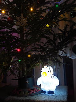 Click image for larger version

Name:	IMG_0033.JPG
Views:	252
Size:	273,3 KB
ID:	1108913